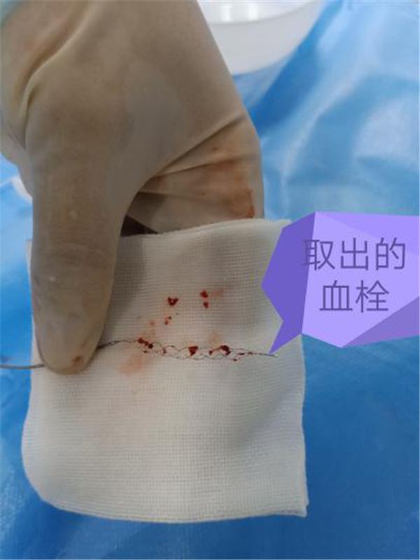 圖片5.png 圖片5.png