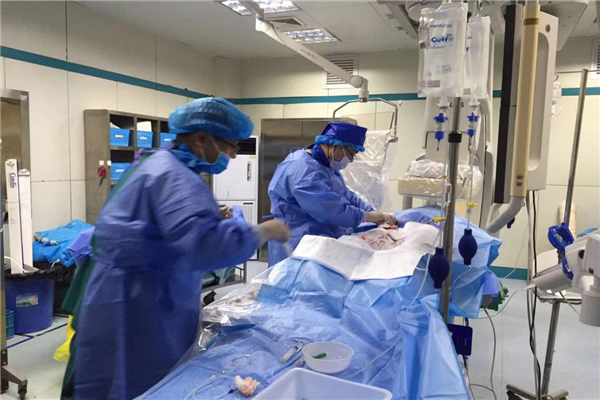 圖片2.png 圖片2.png