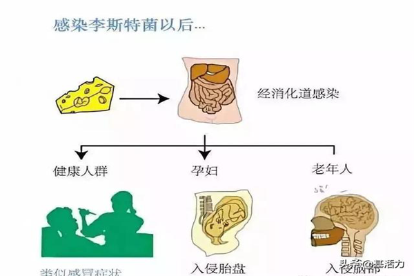 圖片4.png 圖片4.png