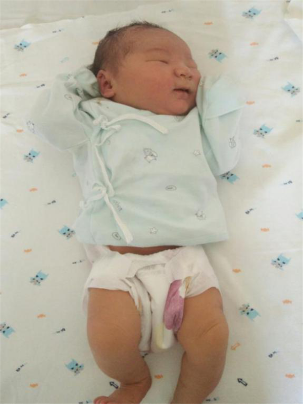 圖片2.png 圖片2.png