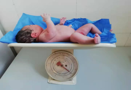 圖片2.png 圖片2.png