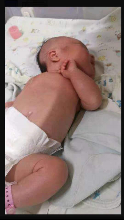 圖片1.png 圖片1.png