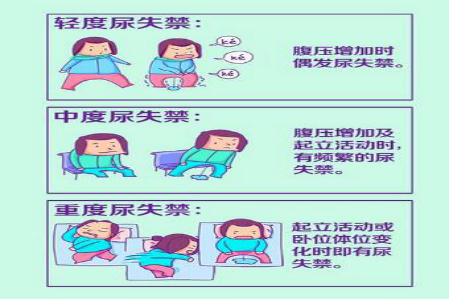 圖片3.png 圖片3.png