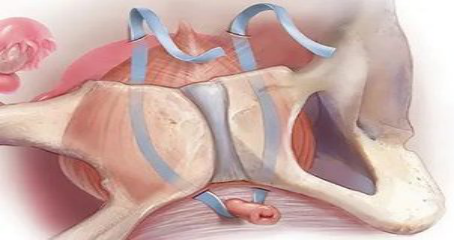 圖片5.png 圖片5.png