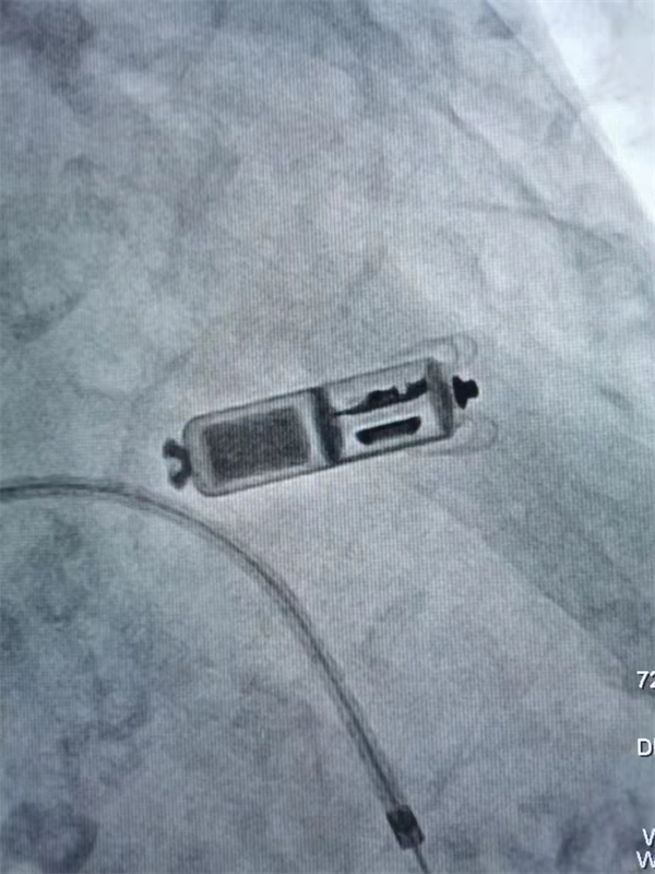 圖片4.png 圖片4.png