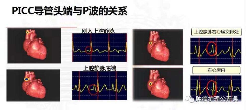 圖片2.png 圖片2.png