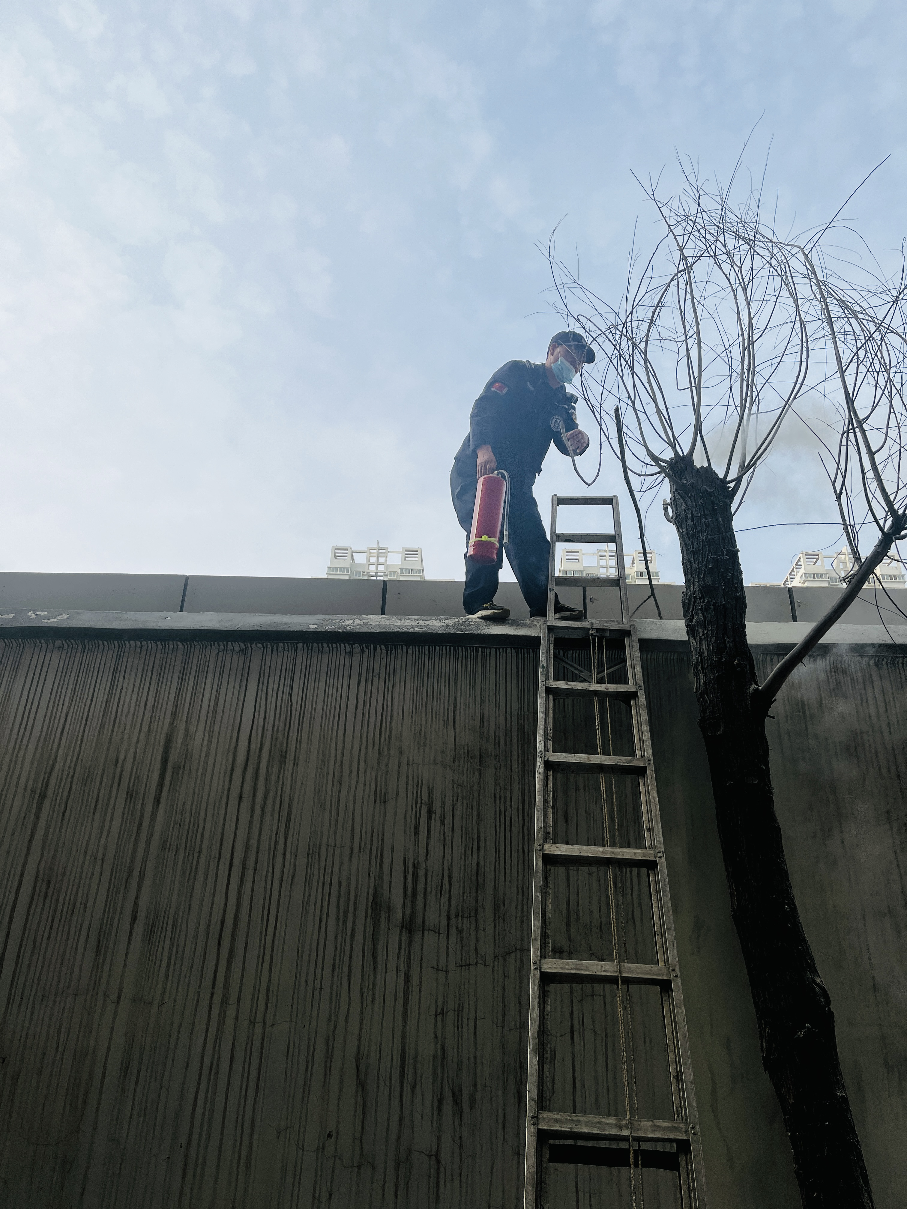 圖片2.png 圖片2.png